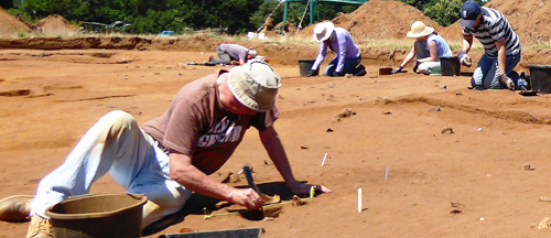 Fieldwork opportunities